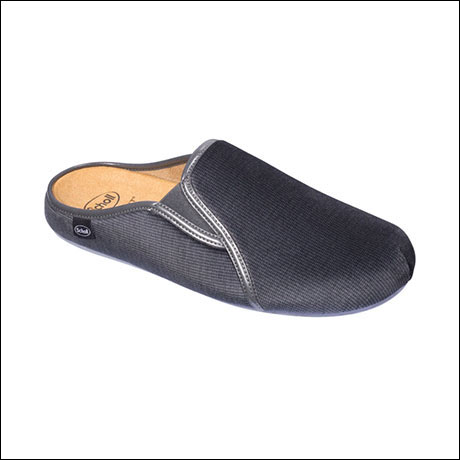 Felce Dr. Scholl