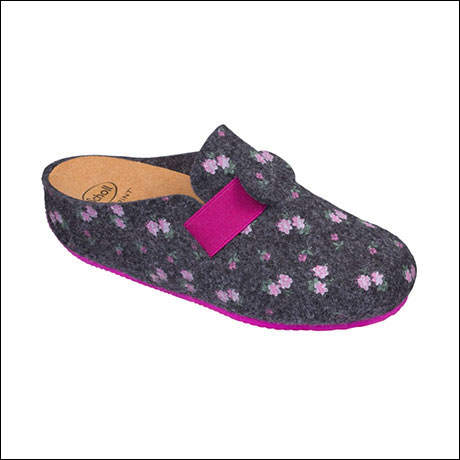 Lareth Dr. Scholl