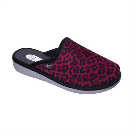 Lauren Dr. Scholl